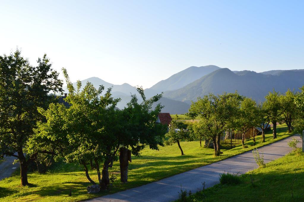 Apartmens And Rooms Sostar Церкно Екстер'єр фото