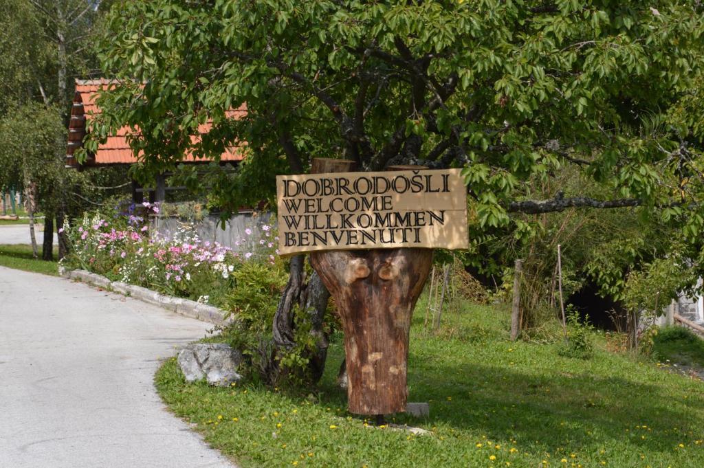 Apartmens And Rooms Sostar Церкно Екстер'єр фото